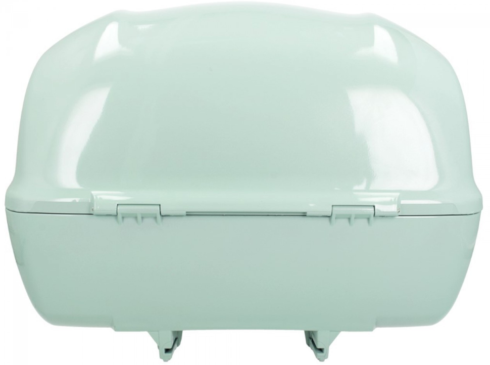 Original Topcase 32 l. for Vespa Primavera / GTS Green Relax / Latte Menta 350/A